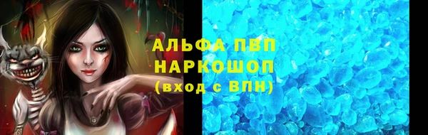 индика Пересвет