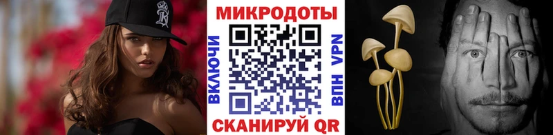 kraken маркетплейс  Алапаевск  Галлюциногенные грибы Psilocybe 
